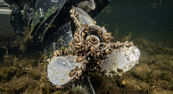 Moules zébrées fixées sur une hélice de moteur de bateau de plaisance